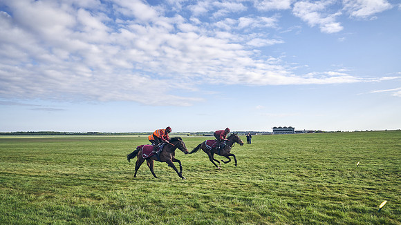 SUMMER GALLOPS-2nd-May-DJ-1770