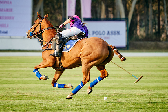 THAI-PINK-POLO-2020-Dominic-James_DJ95371.ARW-10893