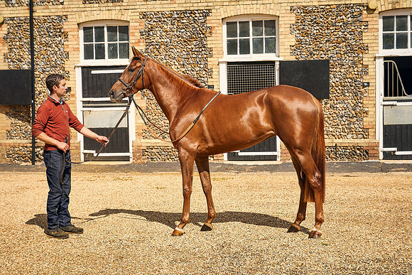 2022-07-01-Dominic-James-4580