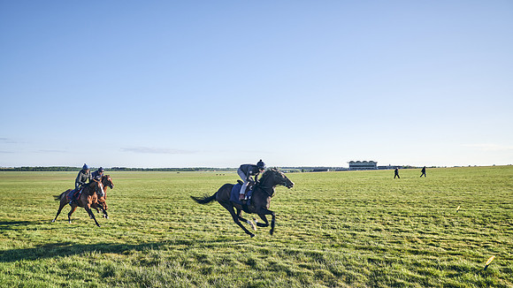 SUMMER GALLOPS-2nd-May-DJ-1264
