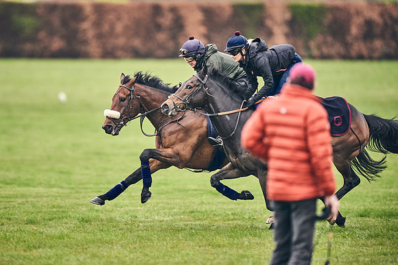 HORSES-IN-TRAINING-18TH-APR-DJ-0852