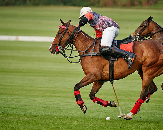 THAI-POLO-PRACTICE-2020-01-21-Dominic-James_DJ92067.ARW8890