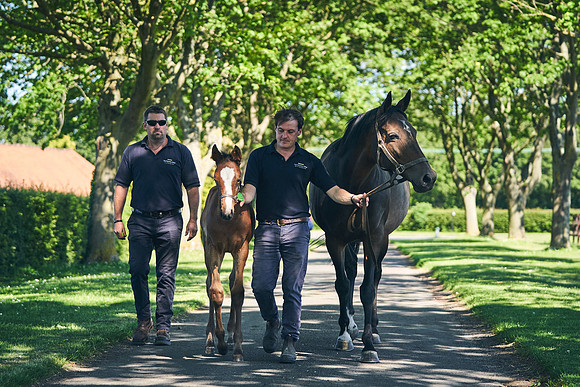 2021-06-10-Dominic-James-0375