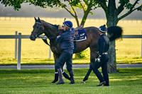 2021-06-09-Dominic-James-0771