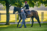 LOSTWITHIEL HOLLIE-DOYLE