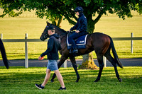 2021-06-09-Dominic-James-0843