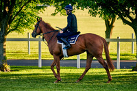 2021-06-09-Dominic-James-0866