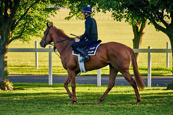 2021-06-09-Dominic-James-0866