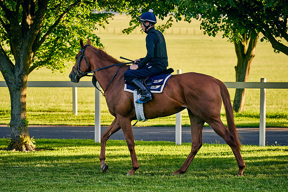 2021-06-09-Dominic-James-0868