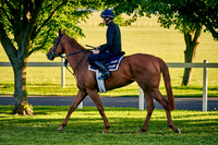2021-06-09-Dominic-James-0871