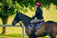 LOSTWITHIEL HOLLIE-DOYLE