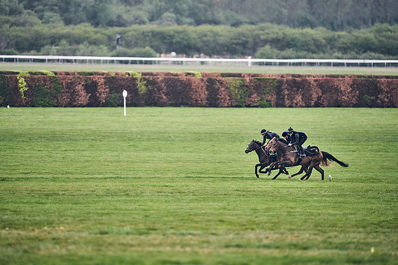 HORSES-IN-TRAINING-18TH-APR-DJ-0655