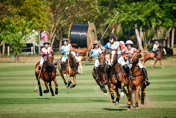 THAI-PINK-POLO-2019_DJ_3962