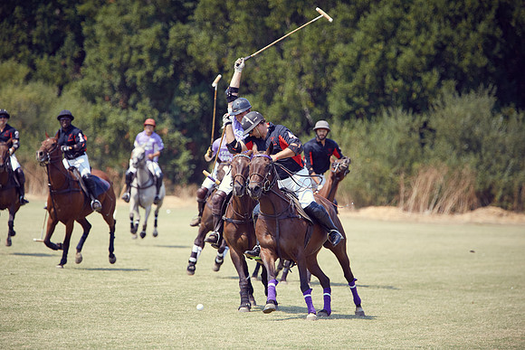 Oyster Cup Polo tournament