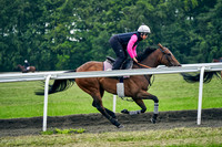 2021-06-11-Dominic-James-0716