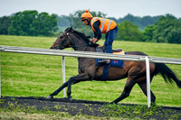11th June Warren Hill 002