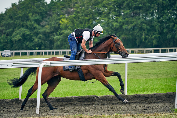2021-06-11-Dominic-James-0966