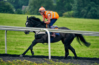 11th June Warren Hill 002