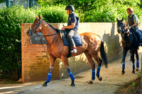 14th June John and Thady Gosden