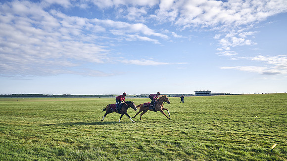 SUMMER GALLOPS-2nd-May-DJ-1686
