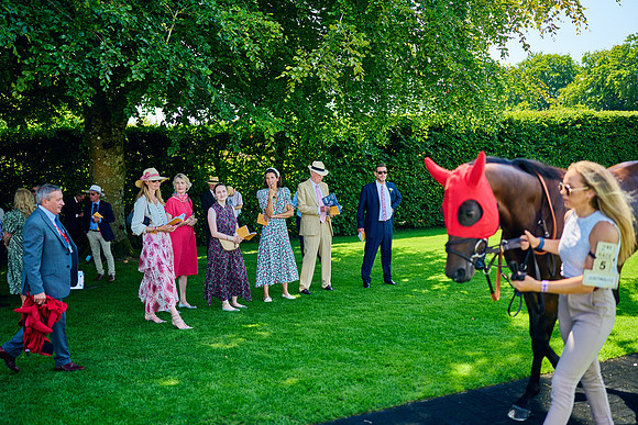QGF2024_DominicJames_01057