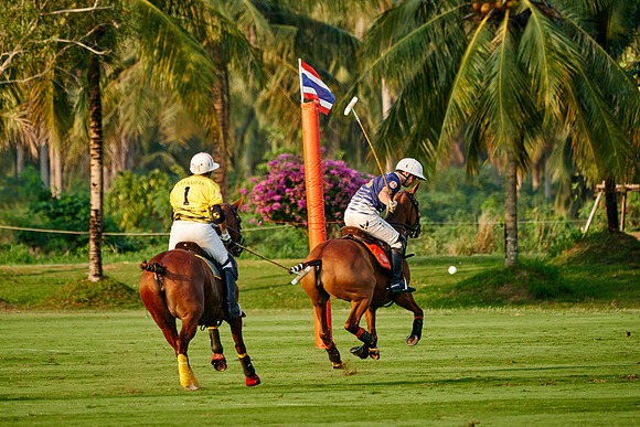 THAI-POLO-OPEN-2019_DJ_1035