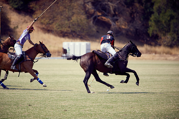 Oyster Cup Polo tournament