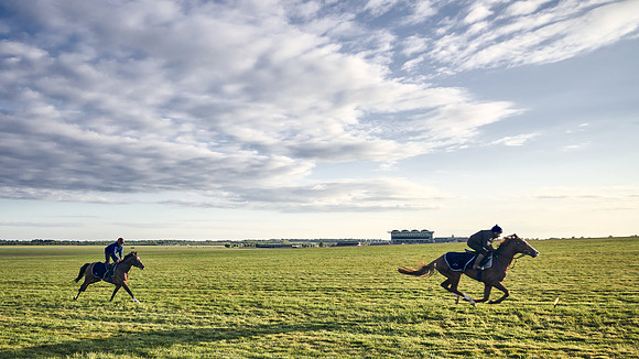 SUMMER GALLOPS-2nd-May-DJ-0232