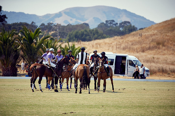 Oyster Cup Polo tournament