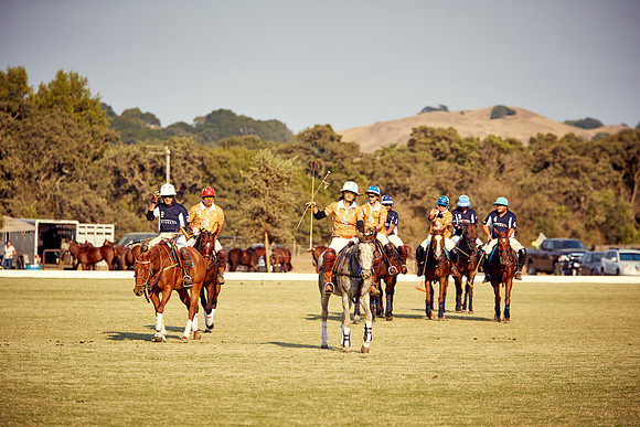 Oyster Cup Polo tournament