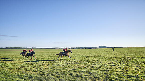 SUMMER GALLOPS-2nd-May-DJ-1427