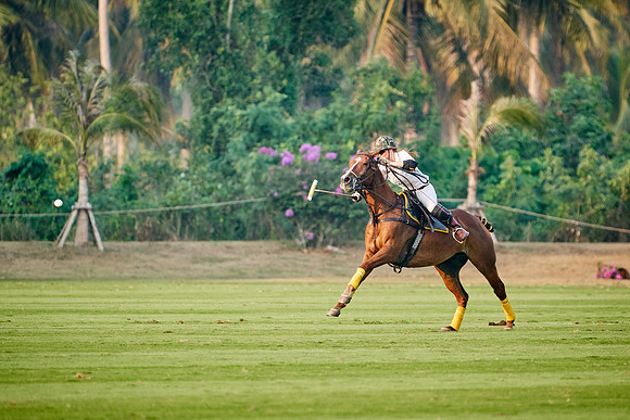 THAI-PINK-POLO-2020-Dominic-James_DJ96111.ARW-11633