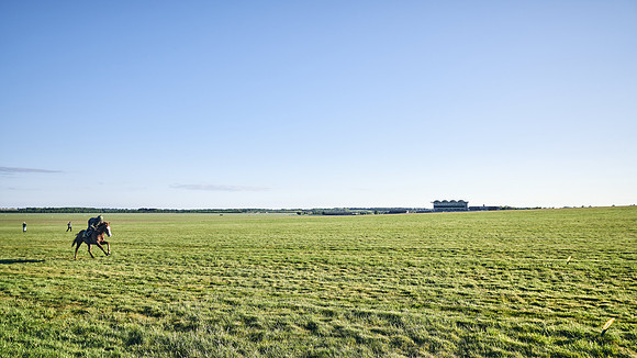 SUMMER GALLOPS-2nd-May-DJ-1351