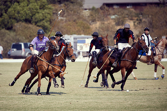 Oyster Cup Polo tournament