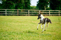 2025-06-09-Dominic-James-00265