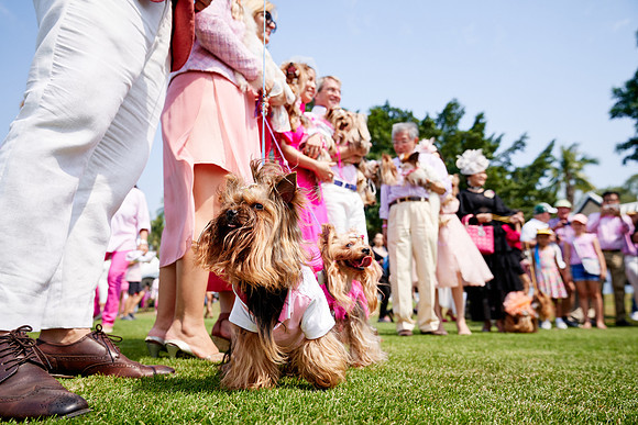 THAI-PINK-POLO-2020-Dominic-James_DJ77420.ARW-9030