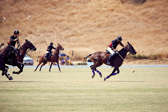 Oyster Cup Polo tournament
