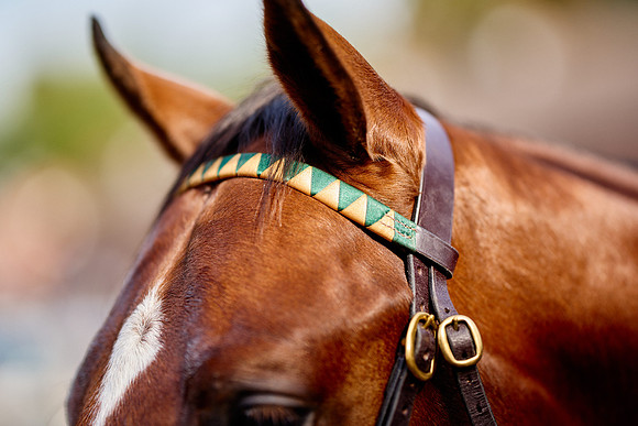 2023-10-10-Dominic-James-01470