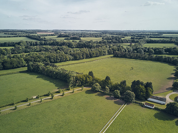 The-National-Stud-Dominic-JamesDJI_0038