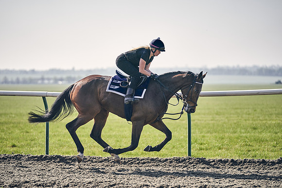 GEORGE-BOUGHEY-RACING-DJ-3416