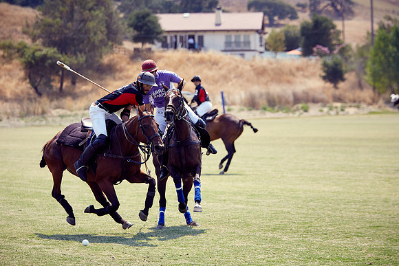 Oyster Cup Polo tournament