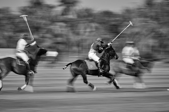 THAI-POLO-OPEN-2019_DJ_0573