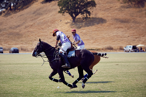 Oyster Cup Polo tournament