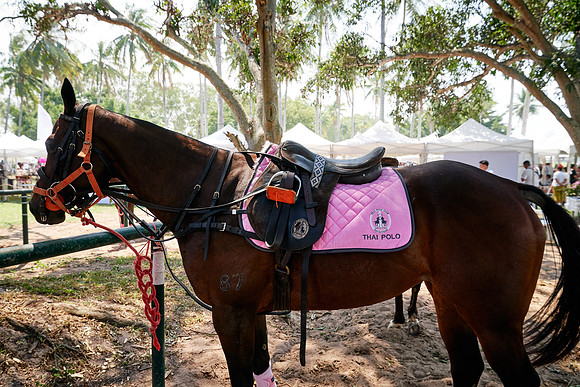 THAI-PINK-POLO-2020-Dominic-James_DJ92280.ARW-6747