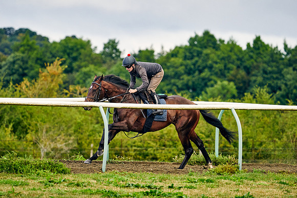 2021-08-25-Dominic-James-3811