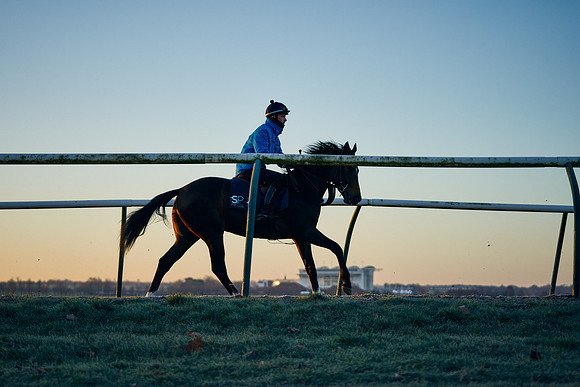 2022-01-22-Dominic-James-0609