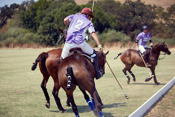 Oyster Cup Polo tournament