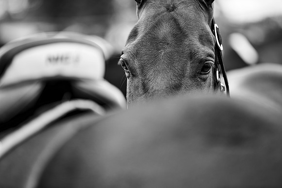 _DSC4606.ARW