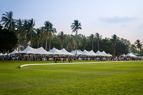 THAI-POLO-OPEN-2020-01-17-Dominic-James_DJ71963.ARW5865