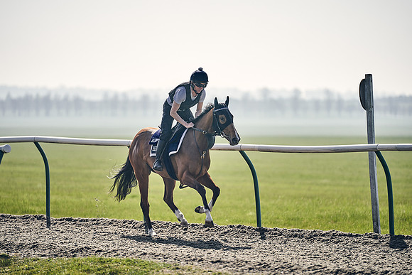 GEORGE-BOUGHEY-RACING-DJ-3352